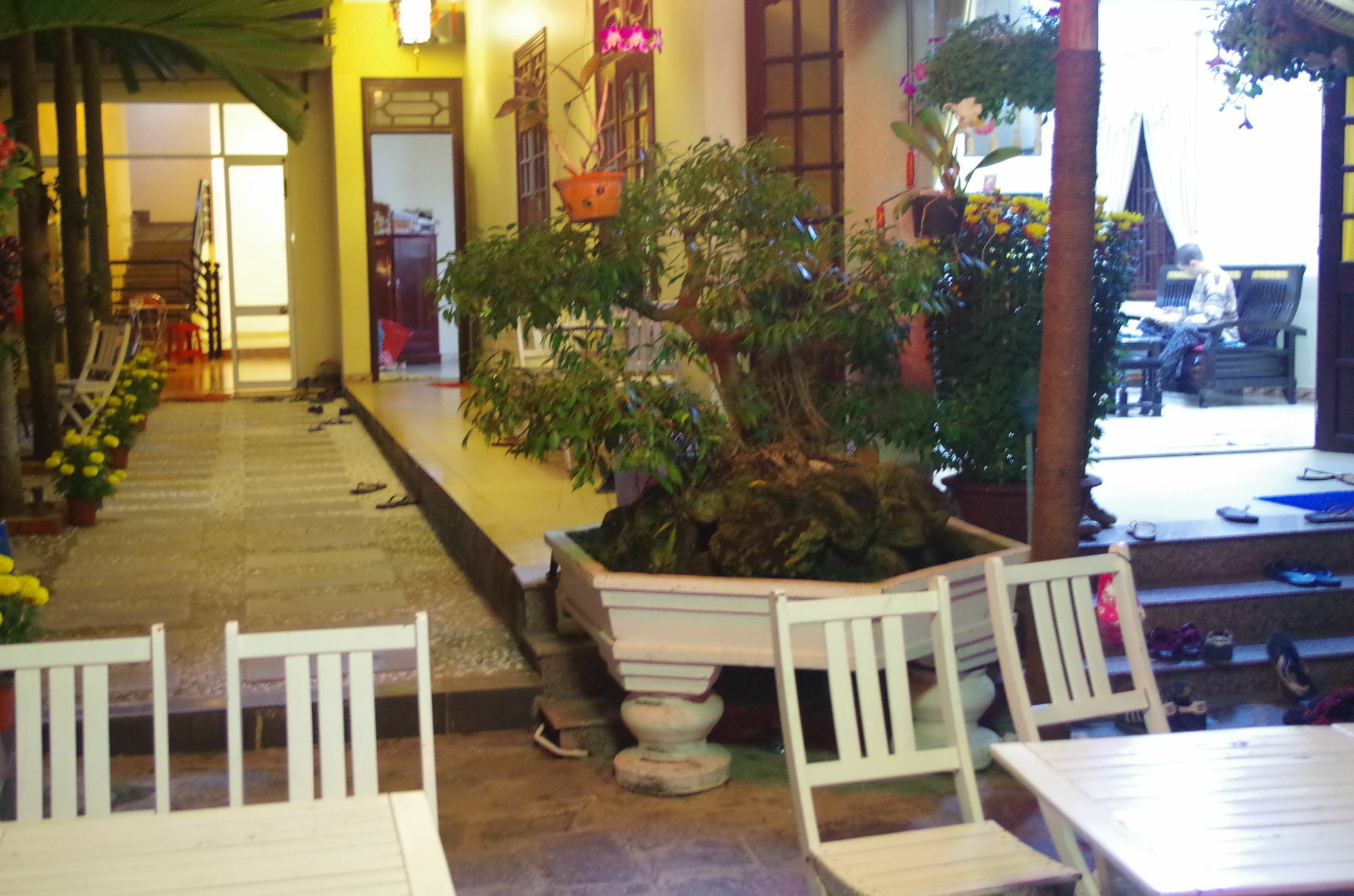 Mango Garden Hoi An Homestay Eksteriør bilde